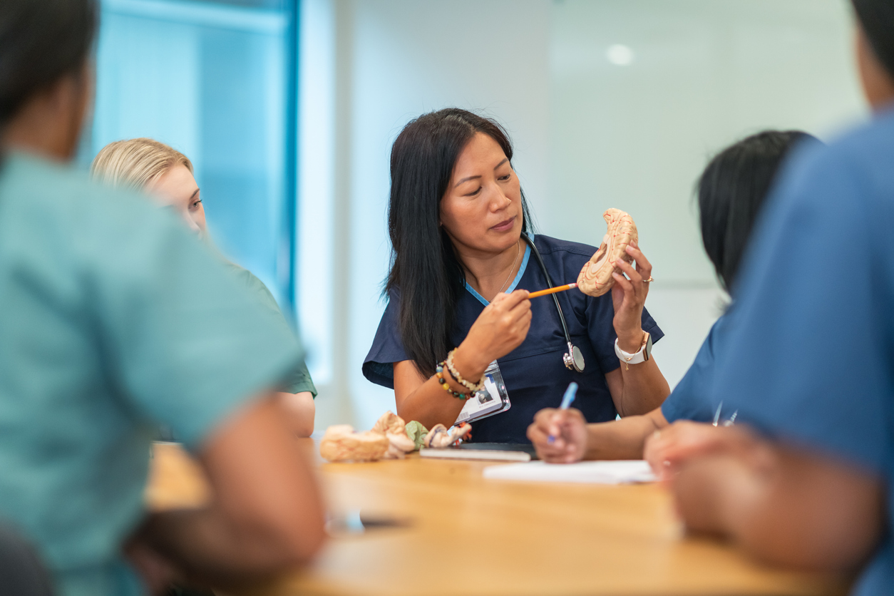 A Clinical Instructor Shows Nursing Students a Model of a Human Brain