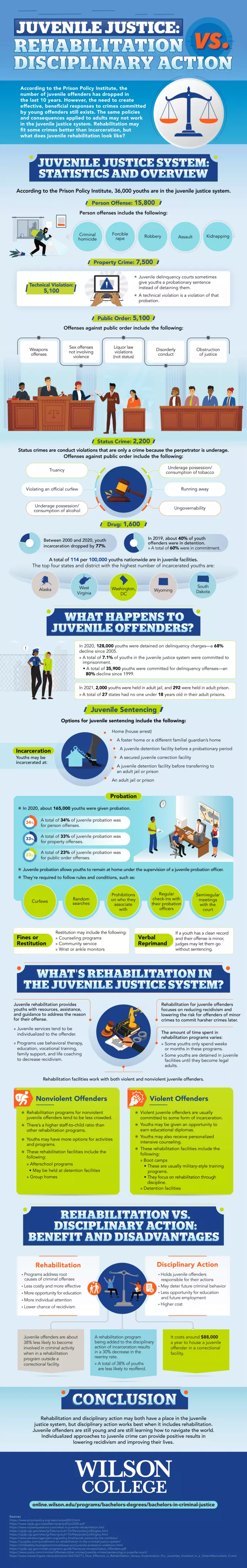 Juvenile Justice: Rehabilitation vs. Disciplinary Action
